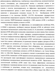 Производные 2-метилморфолин пиридо-, пиразо- и пиримидо-пиримидина в качестве ингибиторов mtor (патент 2445312)