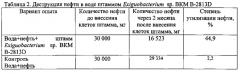 Штамм бактерий exiguobacterium sp. -деструктор нефти и нефтепродуктов (патент 2564105)