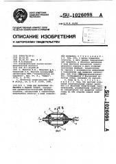 Зонд для магнитных измерений в жидких средах (патент 1026098)