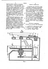 Устройство для сортировки рыбы (патент 935055)