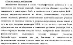 Биспецифические антитела к erb-b и их применение для лечения опухолей (патент 2349340)