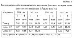 Способ оценки адаптивности растений озимой мягкой пшеницы в условиях склоновой микрозональности (патент 2566556)