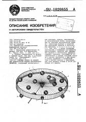 Учебный прибор по физике для демонстрации броуновского движения (патент 1020855)