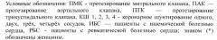 Способ лечения пневмонии у больных кардиохирургического профиля в раннем послеоперационном периоде, находящихся на искусственной вентиляции лёгких или с интубацией (патент 2638462)