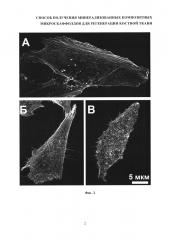Способ получения минерализованных композитных микроскаффолдов для регенерации костной ткани (патент 2660558)