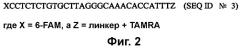 Набор из двух праймеров для амплификации нуклеиновой кислоты вируса гепатита а, способ обнаружения вируса гепатита а с его использованием (варианты) и набор для обнаружения вируса гепатита а (патент 2406762)