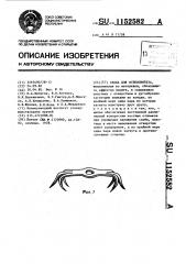 Скоба для остеосинтеза (патент 1152582)