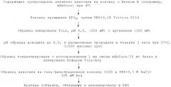 Содержащие суперспираль и/или привязку белковые комплексы и их применение (патент 2573915)