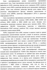 Биспецифические антитела к erb-b и их применение для лечения опухолей (патент 2349340)