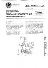 Устройство для безотвальной обработки почвы (патент 1528345)