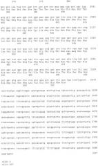 Ген abfb-1 penicillium funiculosum (патент 2388824)