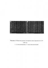 Способ прямого восстановления окислов железа (патент 2640371)
