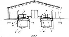 Конвейерное стойло для дойных коров и откорма молодняка (патент 2275018)