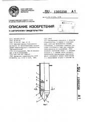 Свая (патент 1305250)