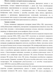 Композиции и способы регуляции клеточной активности nk (патент 2404993)