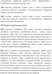 Набор последовательностей для таргетинга экспрессии и контроля посттрансляционных модификаций рекомбинантного полипептида (патент 2481399)