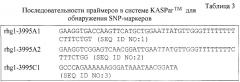 Маркеры, сцепленные с устойчивостью растений сои к scn (патент 2620973)