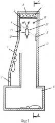 Устройство для уничтожения ползающих насекомых (патент 2324345)