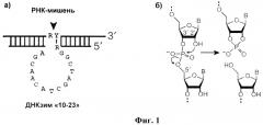 Ингибитор репродукции вируса гриппа а на основе комплекса наночастиц диоксида титана и олигонуклеотида (патент 2466188)