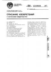 Гидроимпульсатор (патент 1310028)