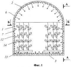 Вегетационная установка (патент 2400056)