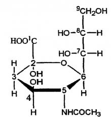 Производные полисиаловой кислоты (патент 2327703)