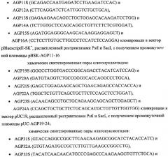 Ген agрopt ангиопоэтина-1 (патент 2385938)