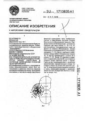 Предохранительно-блокирующее устройство для защиты промежутка между офсетным и формным цилиндрами рулонной печатной машины (патент 1713835)