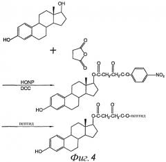 Биологически активный пептид, состоящий из трипептида l-тирозил-l-серил-l-валина (патент 2337921)