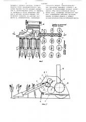 Способ уборки кукурузы (патент 1251820)