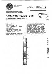 Скважинный дозатор реагента (патент 1198381)