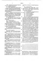 Способ экспрессии цепей химерного антитела (патент 1780541)