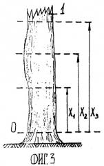 Способ анализа комлевой части растущего дерева (патент 2254707)