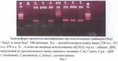 Олигонуклеотиды и способ определения днк бактерий, относящихся к семейству chlamydiaceae (патент 2486255)