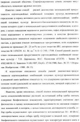 Способ прогнозирования семенной продуктивности солодки (патент 2364078)