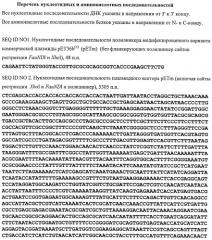 Рекомбинантные химерные полипептиды, несущие эпитопы различных иммунодоминантных белков спирохет комплекса borrelia burgdorferi sensu lato, и способ серодиагностики иксодового клещевого боррелиоза (патент 2514230)