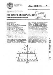 Устройство для купания животных (патент 1386191)