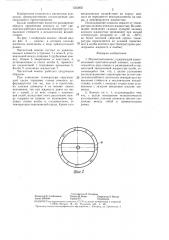 Магнитный компас (патент 1323855)
