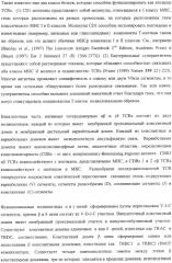 Экспонирование т-клеточных рецепторов (патент 2346004)