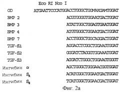 Новый фактор роста/дифференциации tgf--семейства и фармацевтическая композиция (патент 2246315)
