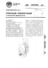 Устройство для обрезки кустарников и ветвей деревьев (патент 1261583)