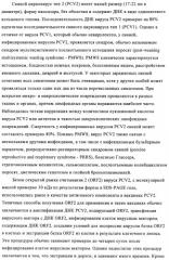 Поливалентные иммуногенные композиции pcv2 и способы получения таких композиций (патент 2488407)