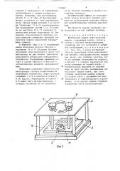 Физическая модель электрической машины (патент 1418807)