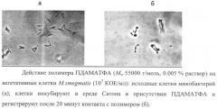 Полидиаллиламмониевые соли в качестве микобактерицидного и туберкулоцидного дезинфицирующего средства (патент 2415679)