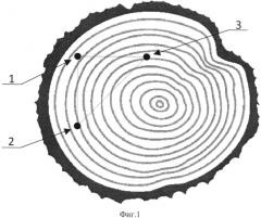 Способ маркировки и идентификации лесоматериалов (патент 2572071)