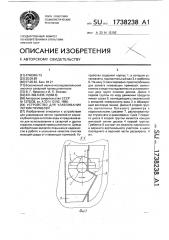 Устройство для улавливания легких примесей (патент 1738238)