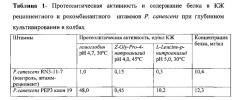 Новый рекомбинантный штамм мицелиального гриба penicillium canescens pep3 и получение на его основе комплексного ферментного препарата протеаз эндо- и экзодействия (патент 2616275)