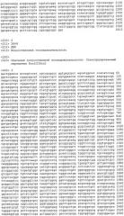 Полинуклеотидная последовательность, кодирующая сконструированный белок пертактин, вектор, включающий такую последовательность, и вакцинные композиции, содержащие белок пертактина или вектор (патент 2499046)