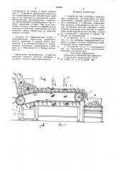 Устройство для переборки корнеплодов (патент 934969)