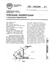 Секция механизированной крепи (патент 1465596)